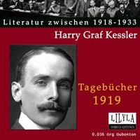 Produktbild: Tageb&uuml;cher 1919