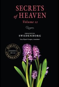 Produktbild: Secrets of Heaven Volume 12