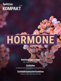 Produktbild: Spektrum Kompakt - Hormone