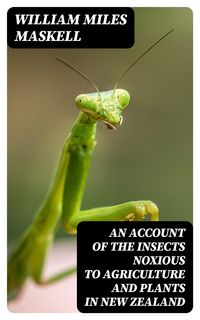 Produktbild: An Account of the Insects Noxious to Agriculture and Plants in New Zealand