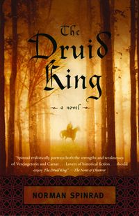 Produktbild: The Druid King