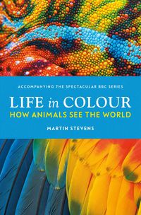 Produktbild: Life in Colour