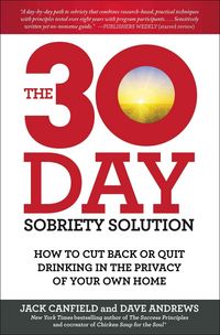 Produktbild: 30 Day Sobriety Solution