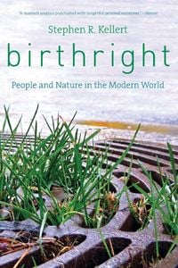Produktbild: Birthright