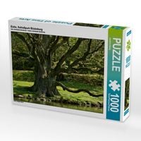 Produktbild: CALVENDO Puzzle Eiche, Schlo&szlig;park B&uuml;ckeburg | 1000 Teile Lege-Gr&ouml;&szlig;e 64x48cm Foto-Puzzle f&uuml;r gl&uuml;ckliche Stunden