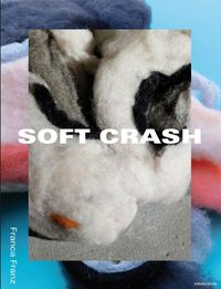 Bild vom Artikel Franca Franz: soft crash vom Autor Franca Franz