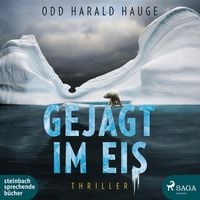 Produktbild: Gejagt im Eis