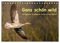 Produktbild: Gans sch&ouml;n wild (Tischkalender 2027 DIN A5 quer), CALVENDO Monatskalender