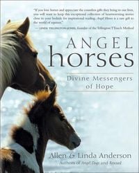 Produktbild: Angel Horses