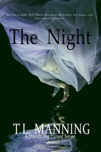 Produktbild: The Night