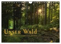 Produktbild: Unser Wald - Magische Sichten in norddeutsche W&auml;lder / Geburtstagskalender (Wandkalender 2027 DIN A4 quer), CALVENDO Monatskalender