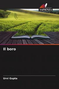Produktbild: Il boro