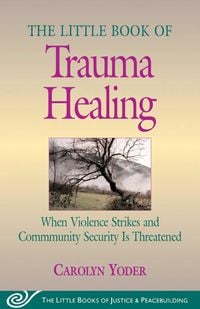 Produktbild: Little Book of Trauma Healing