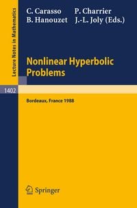 Produktbild: Nonlinear Hyperbolic Problems