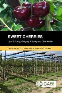 Produktbild: Sweet Cherries