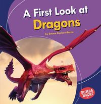 Produktbild: A First Look at Dragons