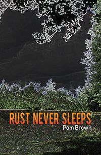 Produktbild: Rust Never Sleeps