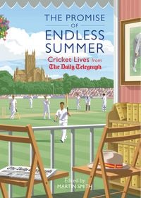 Produktbild: The Promise of Endless Summer