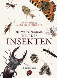 Bild vom Artikel Die wunderbare Welt der Insekten vom Autor Bart Rossel