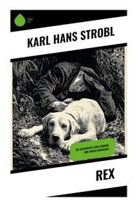 Produktbild: Rex
