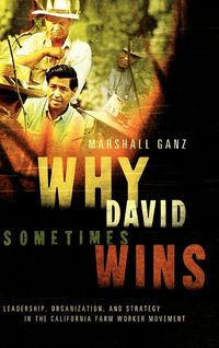 Produktbild: Why David Sometimes Wins