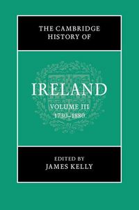 Produktbild: The Cambridge History of Ireland