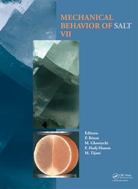 Produktbild: Mechanical Behaviour of Salt VII