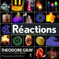 Produktbild: R&eacute;actions : des atomes aux galaxies, au quotidien et dans l'Univers
