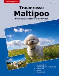 Produktbild: Traumrasse Maltipoo