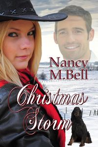 Produktbild: Christmas Storm