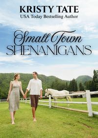 Produktbild: Small Town Shenanigans