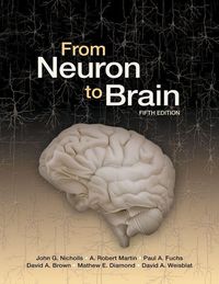 Produktbild: From Neuron to Brain