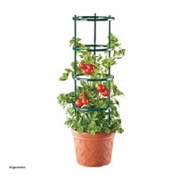Produktbild: HTI-Living Pflanztopf Nessa Terracotta mit Rankhilfe Pflanztopf Nessa Terracotta mit Rankhilfe