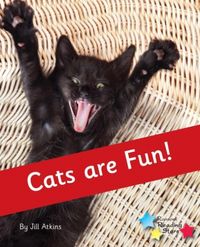 Produktbild: Cats are Fun!