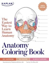 Produktbild: Anatomy Coloring Book with 450+ Realistic Medical Illustrations with Quizzes for Each