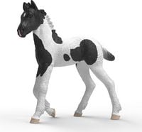 Produktbild: schleich&reg; 81481 Sammelfohlen Rocky