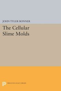 Produktbild: Cellular Slime Molds