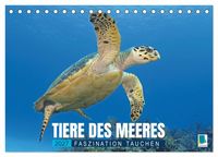Produktbild: Tiere des Meeres: Faszination Tauchen (Tischkalender 2027 DIN A5 quer), CALVENDO Monatskalender