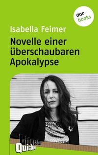 Produktbild: Novelle einer &uuml;berschaubaren Apokalypse - Literatur-Quickie