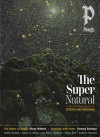 Produktbild: Plough Quarterly No. 45 - The Supernatural