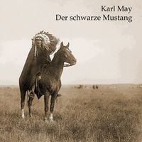 Produktbild: Der schwarze Mustang