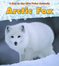 Produktbild: Arctic Fox