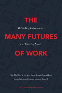 Produktbild: The Many Futures of Work