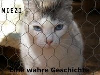 Produktbild: Miezi - Eine wahre Katzengeschichte