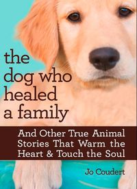 Produktbild: The Dog Who Healed A Family