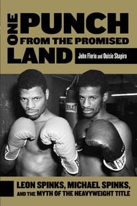 Produktbild: One Punch from the Promised Land