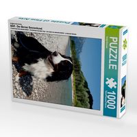 Produktbild: CALVENDO Puzzle Ein Motiv aus dem Kalender B&Auml;R - Der Berner Sennenhund | 1000 Teile Lege-Gr&ouml;&szlig;e 64x48cm Foto-Puzzle f&uuml;r gl&uuml;ckliche Stunden