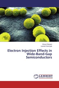 Produktbild: Electron Injection Effects in Wide-Band-Gap Semiconductors