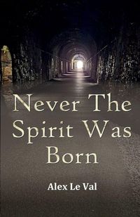 Produktbild: Never The Spirit Was Born