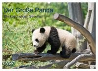 Produktbild: Der Gro&szlig;e Panda Ein kuscheliger Geselle (Wandkalender 2027 DIN A2 quer), CALVENDO Monatskalender